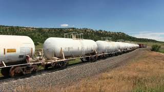 BNSF sulfuric acid tank train and coal train at Palmer Lake Colorado [upl. by Diamante565]