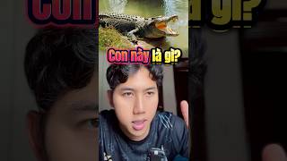 Này là con gì oceanenglish english vocabulary [upl. by Seafowl288]