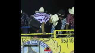 🚨San Simón Tlacuiloltepec🚨🐮 8️⃣ Segundos 🆚 🤠 Consentido de San SimónSiempreDeLaManoDeDios🙏🏻 [upl. by Tecil250]