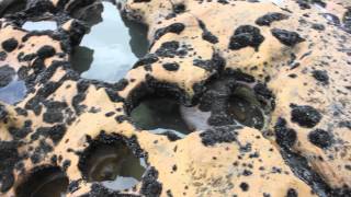 How are Coastal Potholes formed [upl. by Ginny314]