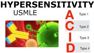 Hypersensitivity  USMLE [upl. by Oiliruam]