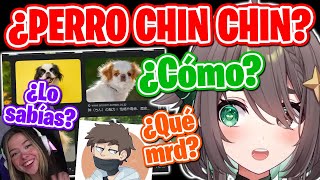 Meica descubre que existe el perro quotChinquot en Japón【Meica】 [upl. by Monty916]