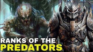 The YAUTJA Hierarchy Who Reigns Supreme in PREDATOR Society [upl. by Hube]