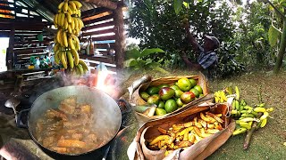 Asi se pasa un dia en el campo de Republica Dominicana [upl. by Atarman]