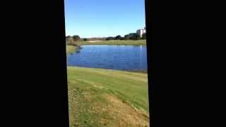 Shingle Creek Golf Florida  Gator [upl. by Yelsgnik924]