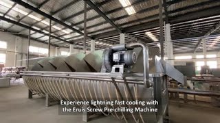 Cooling Revolution Transforming Poultry Processing with Eruis Screw Prechilling Machine [upl. by Bricker90]