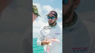 Teaser Techniques for Catching Marlin Explained  Unlock the Secrets of Marlin Fishing [upl. by Ynad]