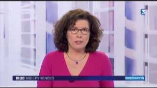 Le robot de palettisation Paleasy de Lexem Automation sur France3 au SIANE 2014 [upl. by Balf559]