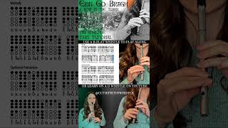 Erin Go Bragh  A Row In The Town  Irish Rebel Song on Tin Whistle [upl. by Vokaay620]