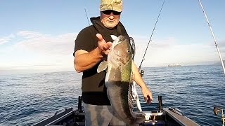 Wellington Boat Fishing  Wainuiomata Coast March 2014 [upl. by Mauve]