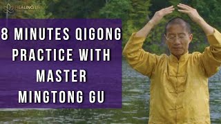 8 Minutes Qigong Practice with Master Mingtong Gu [upl. by Madelyn]