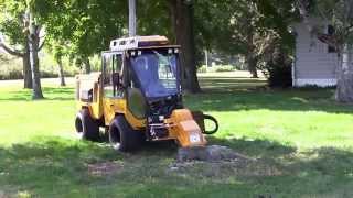 Trackless MT7 Stump Grinder [upl. by Aicram637]