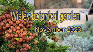 Vlog133  Wisley Garden is beautiful at any time [upl. by Idnor]