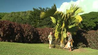 Big Valley  McBryde Garden  National Tropical Botanical Garden [upl. by Aierbma]