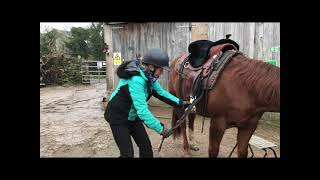 How to mount a western saddle without it slipping [upl. by Kreager584]