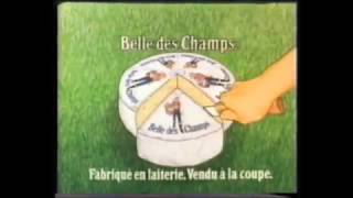 Publicité Télévisée sanime Années 1980 [upl. by Atteras]