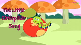 The hungry little caterpillar  caterpillar song for kids [upl. by Jephthah632]