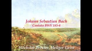 JSBach BWV183 4Höchster Tröster Heilger Geist Harnoncourt  Wittek [upl. by Erinna]