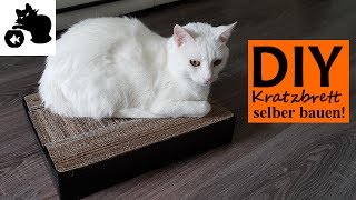 🔥Katzen Kratzbrett selber bauen  DIY Katzenspielzeug selber machen  DIY Kratzbrett aus Kartons [upl. by Eenram]