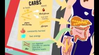 Nutrition for Rowers [upl. by Muriel]