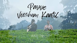 Payye Veeshum Kaatil  Cover  Travel Jam  ftceeveeamanzach [upl. by Ivory]