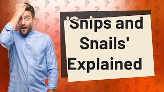 What does snips and snails mean [upl. by Ime]