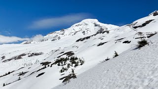 Heliotrope Ridge Mt Baker  4K  Virtual Walking  Hike  ASMR [upl. by Malim571]