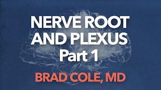 Nerve Root and Plexus Anatomy [upl. by Sremlahc134]