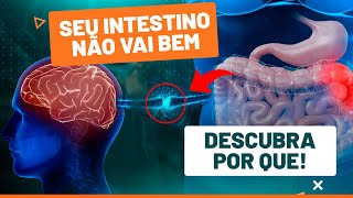 QUAL A IMPORTÂNCIA DO INTESTINO PARA SAÚDE Fisioprev [upl. by Vachel]