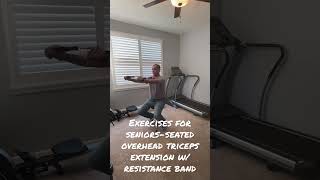 Exercises for SeniorsSeated Overhead Triceps Extension wResistance Band [upl. by Ahsinotna]