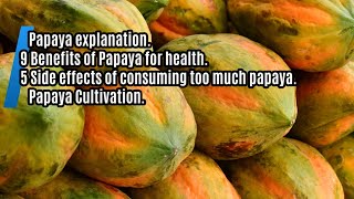 Papaya Fruit benefits definition complete review side effects for health and cultivation [upl. by Veal748]