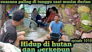 suasana ramai di musim durian kami makan bersama keluarga besar warta petani muda hidup di hutan [upl. by Llertnor]