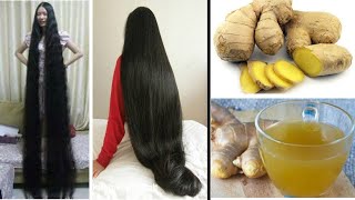 Ginger for Extreme Hair Growth Stop Hair Loss  How to Grow Long and Thicken Hair [upl. by Aehcim896]