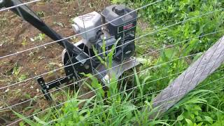 How to Use a Tiller Tilling a Overgrown Garden [upl. by Andree546]