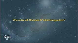 Wie nutze ich Beispiele und Validierungspakete [upl. by Maddock]