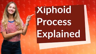 Why do I have a xiphoid process [upl. by Katinka]