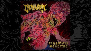 CREMULATION  Amalgamated Abomination 2024 [upl. by Nywg]