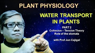 PLANT PHYSIOLOGY ONLINE LECTURE Water Transport In Plants Part 2 Cohesion Tension Theory [upl. by Aivilys]