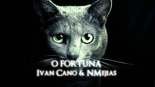 Ivan Cano amp NMejias  O Fortuna BRK PROD [upl. by Iren848]