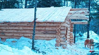 How to Build an Off Grid Log Cabin  Purlins and Roof Lake Trout Stew  Cast Iron Cooking [upl. by Einnor]