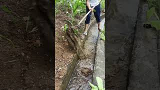 Use A Simple Tool To Clean The Rural Ditch [upl. by Lienad]