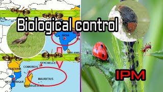 BIOLOGICAL CONTROL Entomology class Tamil [upl. by Yssor55]