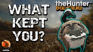 WHAT KEPT YOU  theHunter Call of the Wild [upl. by Drofub]