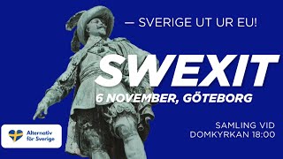 SWEXIT Fackeltåg i Göteborg med Alternativ för Sverige [upl. by Osyth629]