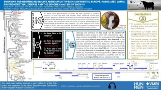 e poster presentation Vidovszky IUMS 2024 [upl. by Rowan]