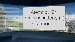 Atemnot für Fortgeschrittene 1 Über die physiologischen Grundlagen  Die Bedeutung des Totraums [upl. by Aihsas]