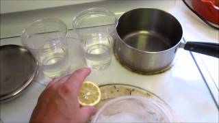 Penicillium isolation from citrus fruit  Part 1 [upl. by Ajiram]