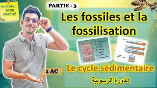 Les fossiles et la fossilisation Partie 3  Le cycle sédimentaire الدورة الرسوبية [upl. by Phoebe]