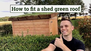 How to fit a green roof to a garden shed [upl. by Iluj]