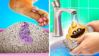 We Found Dog Day In Litter Box 🐶☀️ RICH vs POOR Pet Gadgets and Crafts [upl. by Rochell]